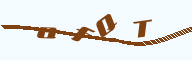 856245